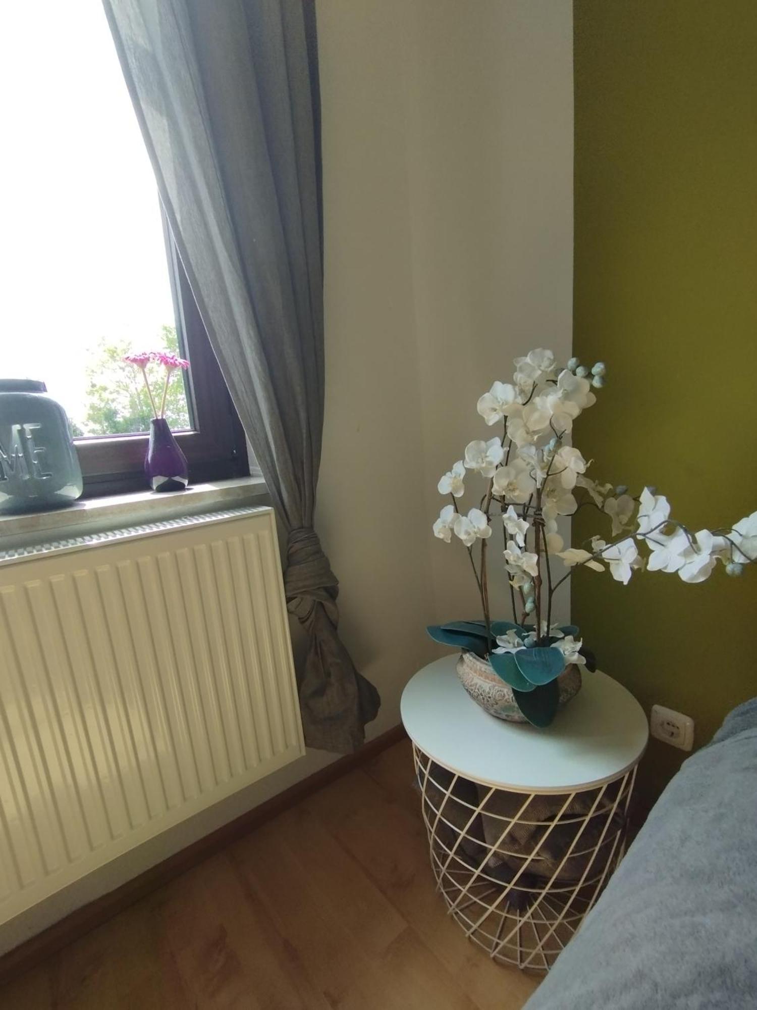 Sunny Side Apartment Kiel Exterior photo